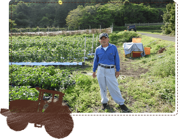 生産者からの挨拶